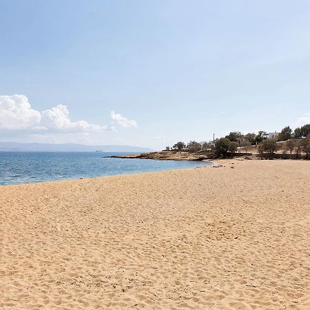 Villa San Dimitrio House On The Beach Logaras Eksteriør bilde