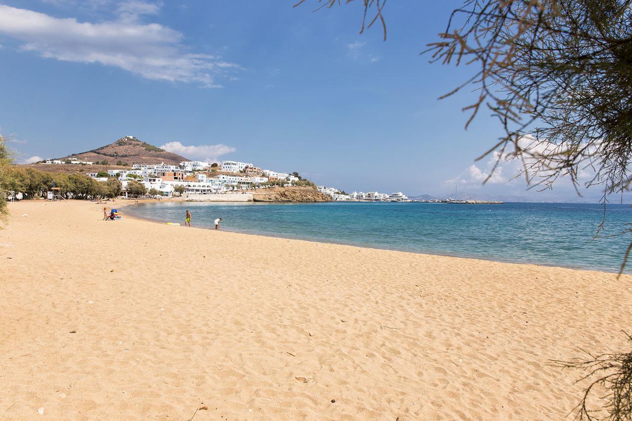 Villa San Dimitrio House On The Beach Logaras Eksteriør bilde