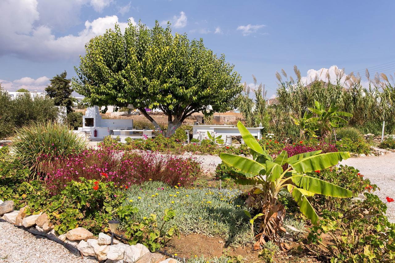 Villa San Dimitrio House On The Beach Logaras Eksteriør bilde