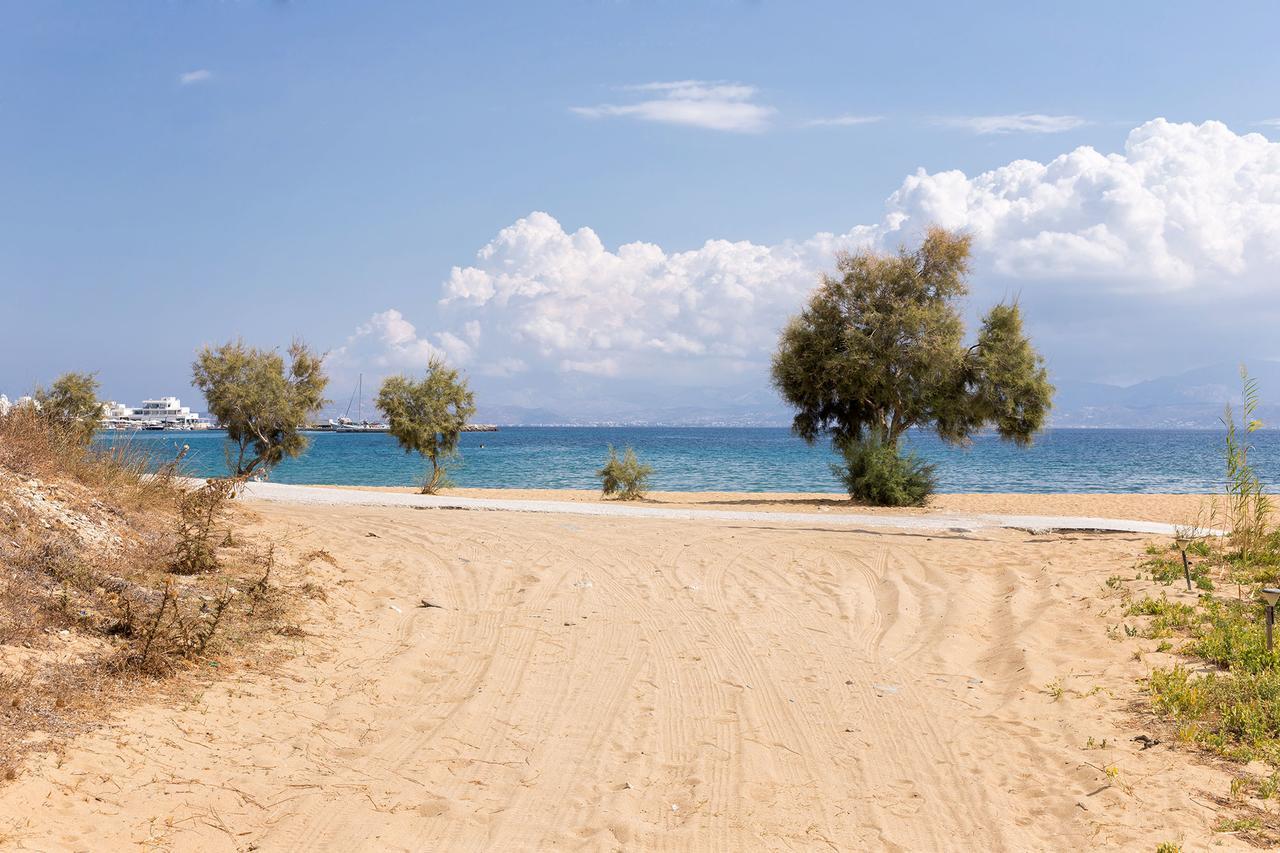 Villa San Dimitrio House On The Beach Logaras Eksteriør bilde